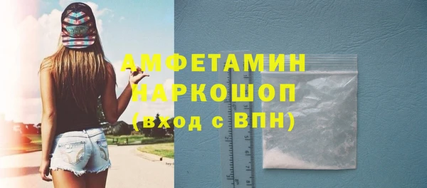 индика Переславль-Залесский