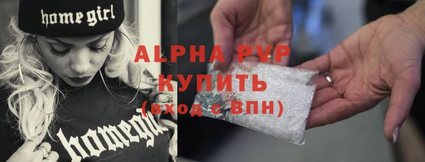 индика Переславль-Залесский
