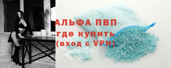 индика Переславль-Залесский