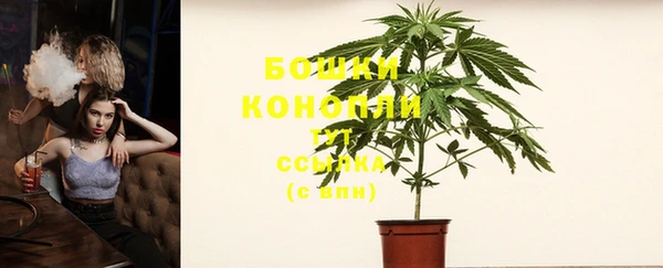 тгк Пестово