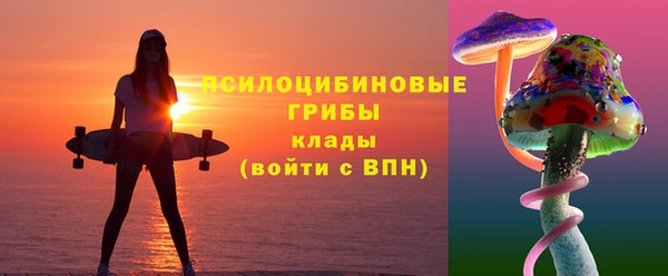 индика Переславль-Залесский