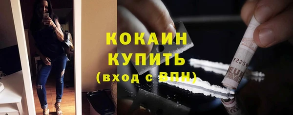 индика Переславль-Залесский