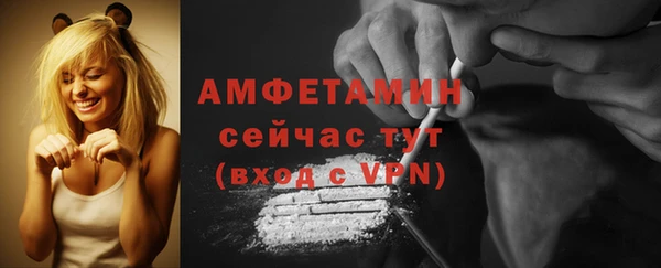 молекула духа Осташков