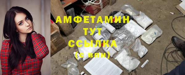 тгк Пестово