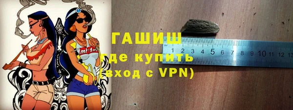 индика Переславль-Залесский