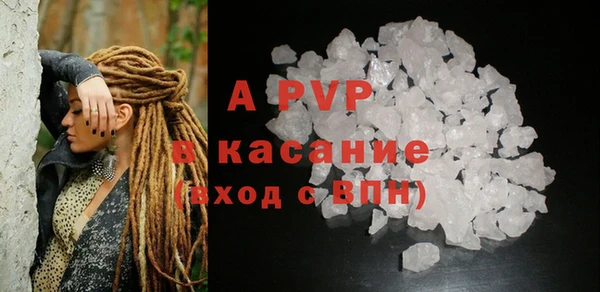 индика Переславль-Залесский