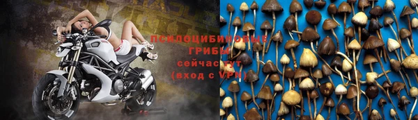 тгк Пестово