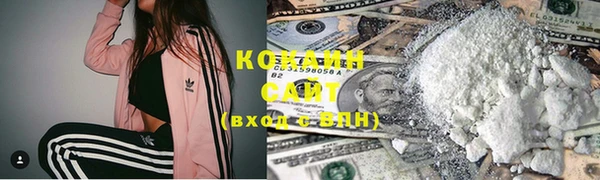 тгк Пестово