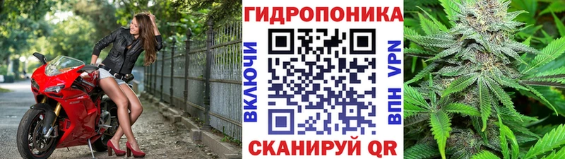 Бошки Шишки тримм Ужур